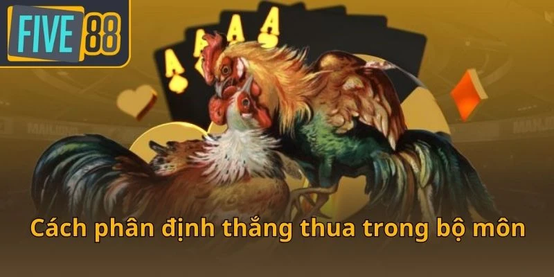 cach-phan-dinh-thang-thua-trong-bo-mon