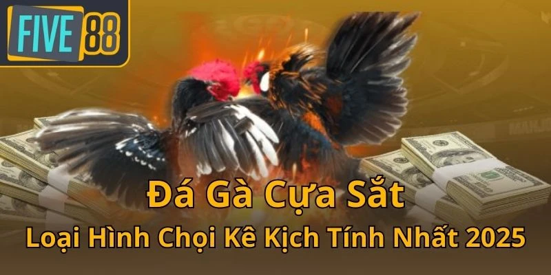 da-ga-cua-sat-loai-hinh-choi-ke-kich-tinh-nhat-2025