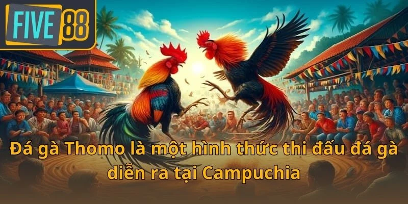 da-ga-thomo-la-mot-hinh-thuc-thi-dau-da-ga-dien-ra-tai-campuchia
