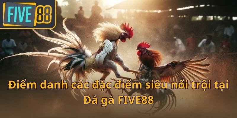 diem-danh-cac-dac-diem-sieu-noi-troi-tai-da-ga-five88