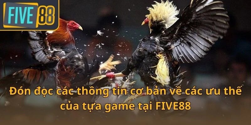 don-doc-cac-thong-tin-co-ban-ve-cac-uu-the-cua-tua-game-tai-five88