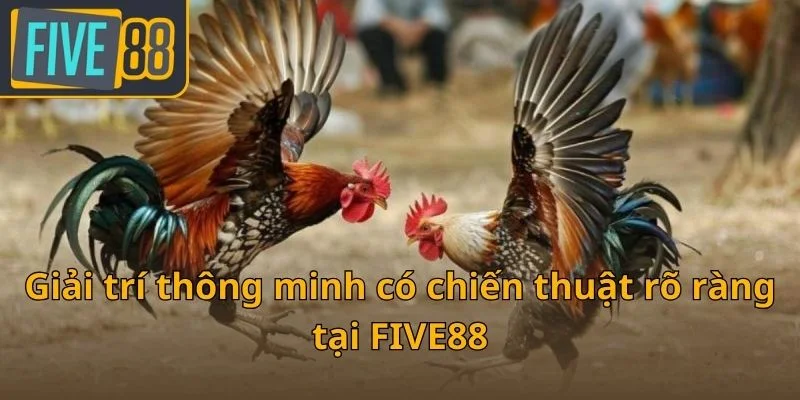 giai-tri-thong-minh-co-chien-thuat-ro-rang-tai-five88
