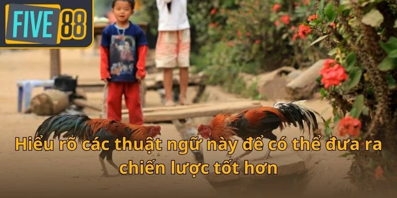 hieu-ro-cac-thuat-ngu-nay-de-co-the-dua-ra-chien-luoc-tot-hon