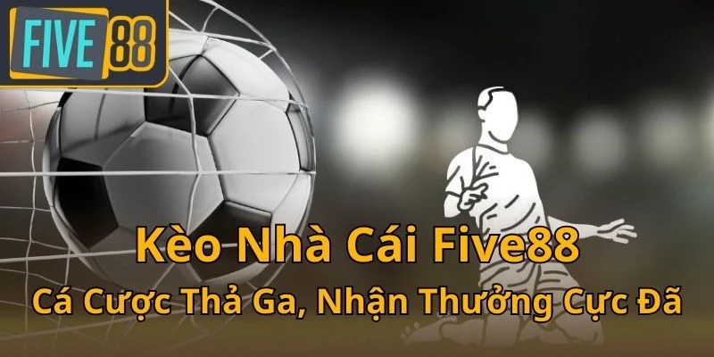 keo-nha-cai-five88-ca-cuoc-tha-ga-nhan-thuong-cuc-da