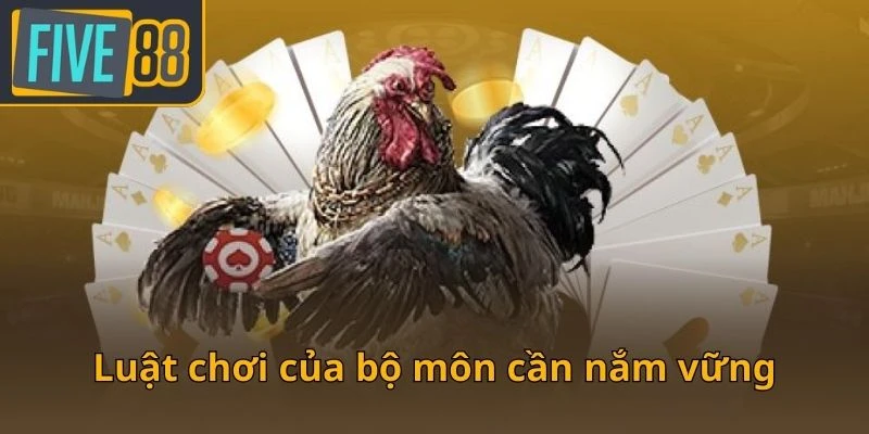 luat-choi-cua-bo-mon-can-nam-vung