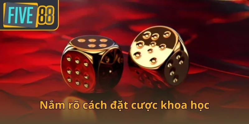 nam-ro-cach-dat-cuoc-khoa-hoc