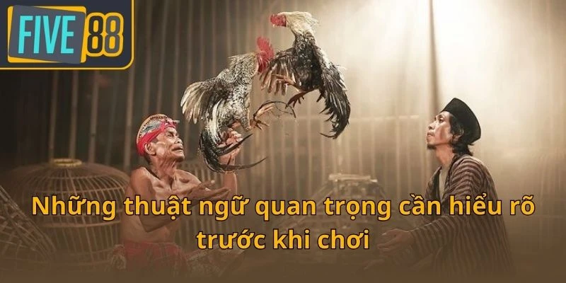 nhung-thuat-ngu-quan-trong-can-hieu-ro-truoc-khi-choi