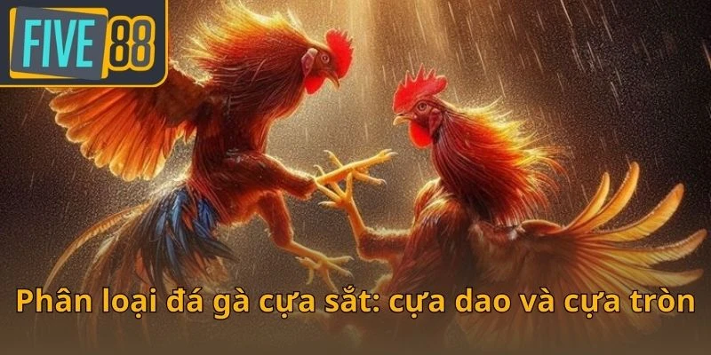 phan-loai-da-ga-cua-sat-cua-dao-va-cua-tron