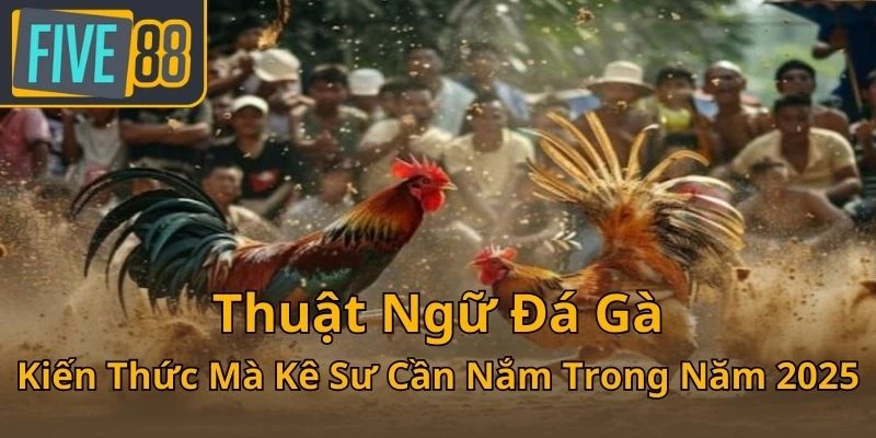 thuat-ngu-da-ga-kien-thuc-ma-ke-su-can-nam-trong-nam-2025