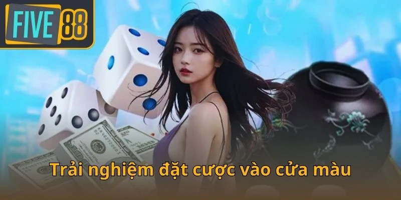 trai-nghiem-dat-cuoc-vao-cua-mau